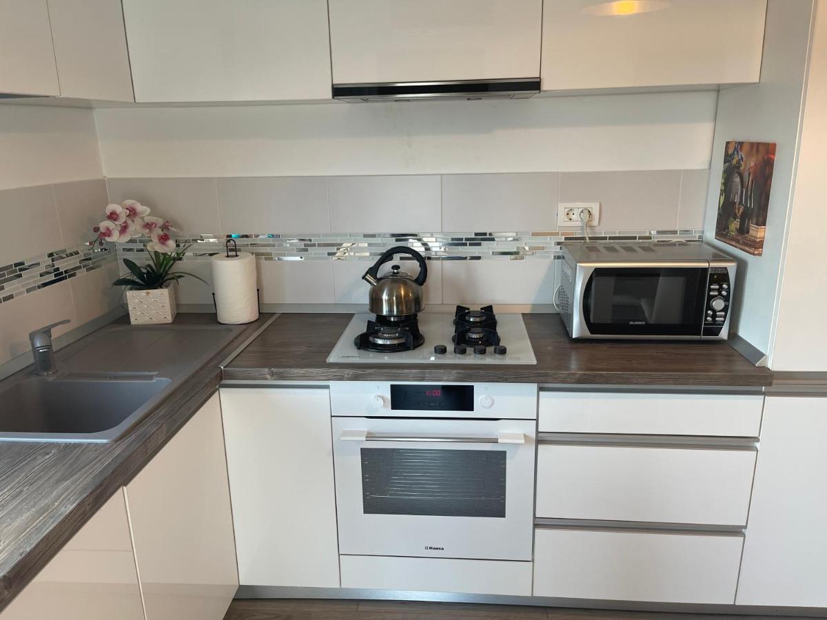 Venetia Apartament - * Timişoara