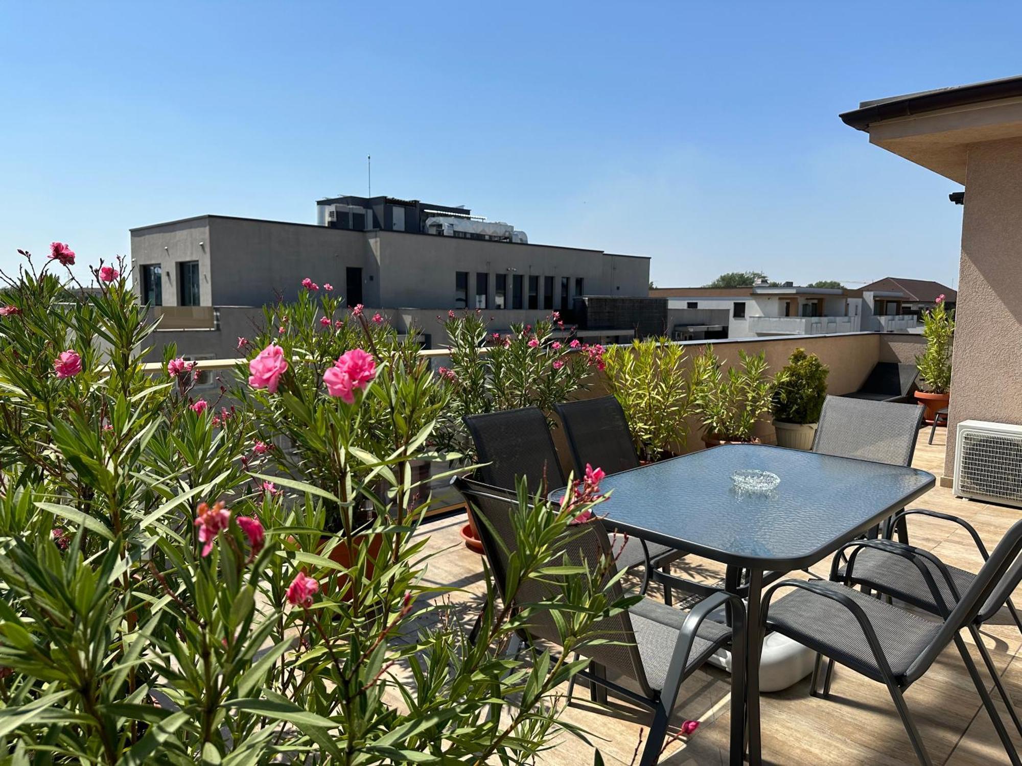 Venetia Apartament - * Timişoara